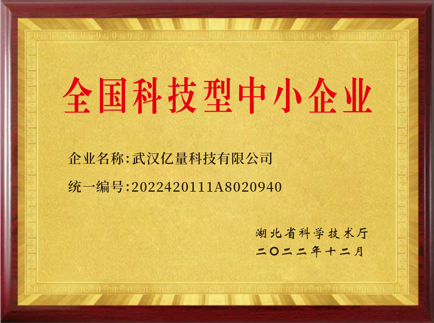 全国科技型中小企业